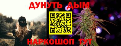 индика Новозыбков