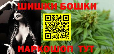 индика Новозыбков