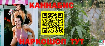 индика Новозыбков