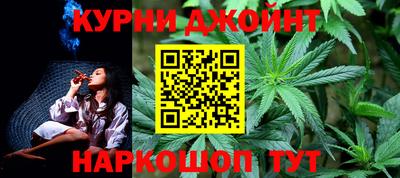 индика Новозыбков