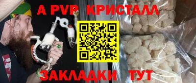 индика Новозыбков