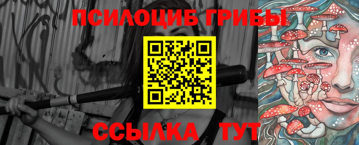 Псилоцибиновые грибы Cubensis Асбест