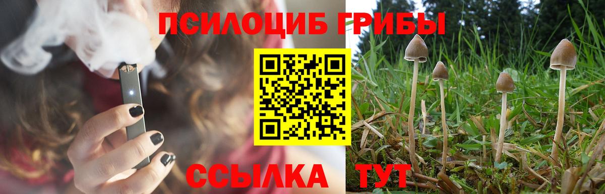 Псилоцибиновые грибы MAGIC MUSHROOMS  Псилоцибиновые грибы Psilocybe  Асбест  Вход с VPN 